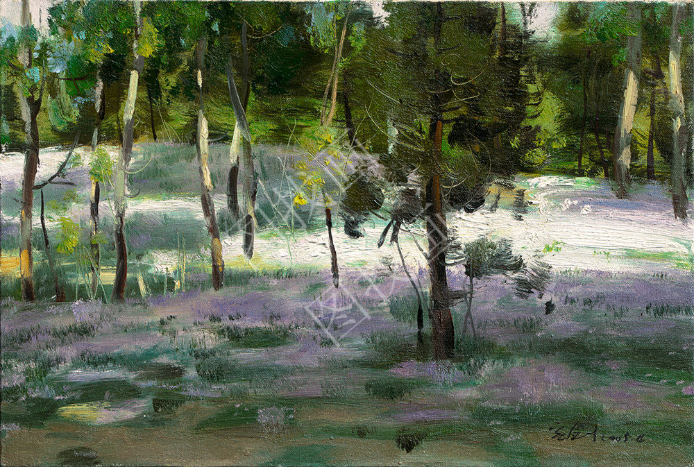 近现代 王宏剑-照澜院之春 35x50cm